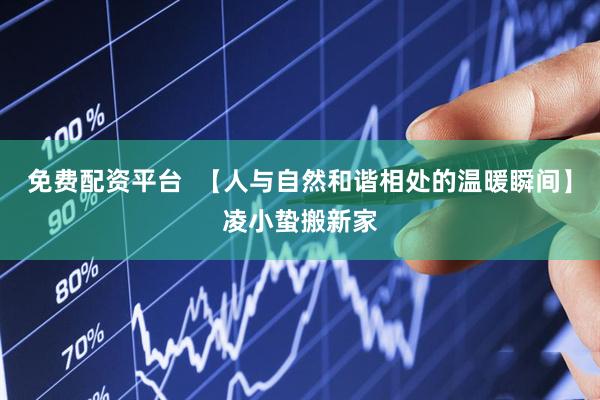 免费配资平台  【人与自然和谐相处的温暖瞬间】凌小蛰搬新家