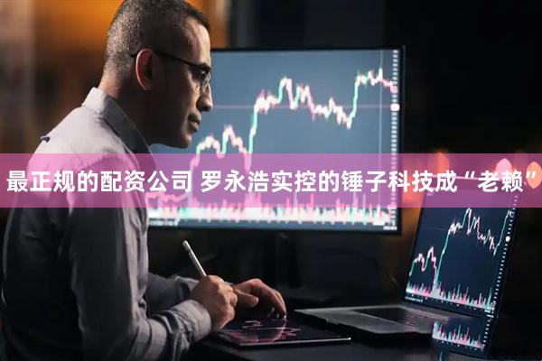 最正规的配资公司 罗永浩实控的锤子科技成“老赖”